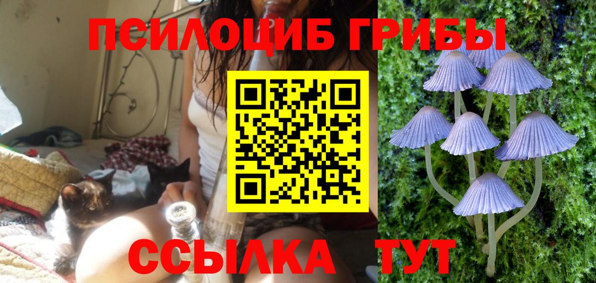Кузнецк  Галлюциногенные грибы прущие грибы  Вход с VPN 
